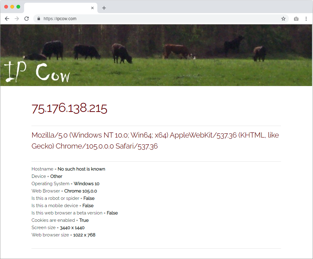 IP Cow Web Application